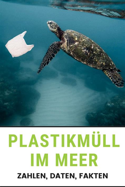 Plastikmüll Im Meer Wie Kommt Der Müll In Die Ozeane L Ecoyou