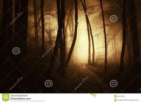 Path Trough A Dark Haunted Forest With Fog At Sunset Royalty Free Stock