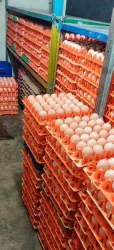 Fresh White Poultry Eggs At Rs 490piece Fresh Eggs In Bengaluru Id 25457377955