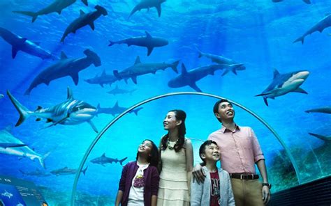 Sea Aquarium Singapore Tourist Attractions Singapore Tourist