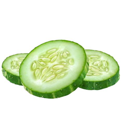 Cucumber slices PNG - Photo #592 - Free PNG Download image - png archive png image