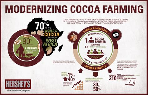 Modernizing Cocoa Farming Infographic Infographic List