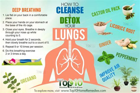 How To Cleanse And Detox Your Lungs Top 10 Home Remedies