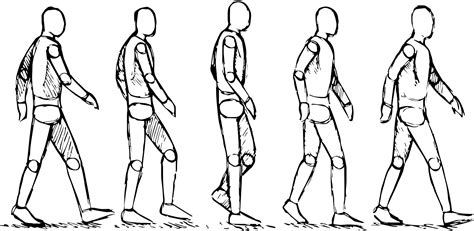 This is a picture of a walk cycle showing the key posses in the walk walking in a animation could understandably be hard to create as replicating the fluid movement in. The Helpful Art Teacher: Cartooning and Animation 101: The walk cycle