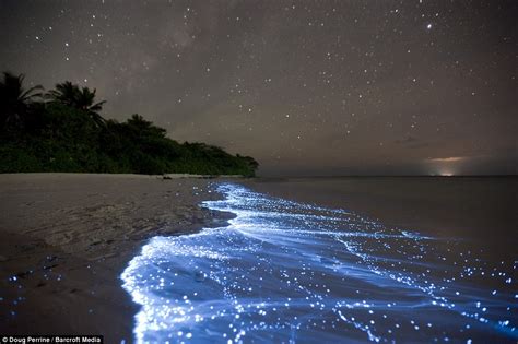 Glow With The Flow Natural Phenomenon Turns Sea Water An Electric Neon