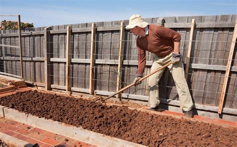 How To Prepare Soil For Planting