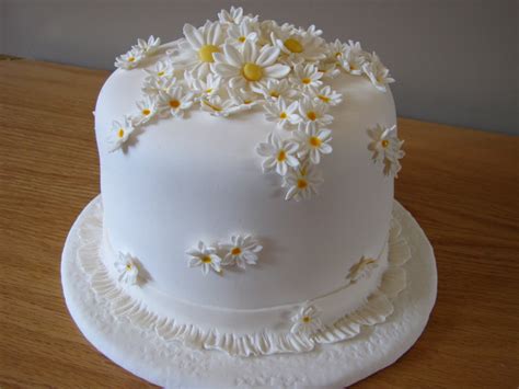 Ann Maries Creative Cakes Daisy Cake