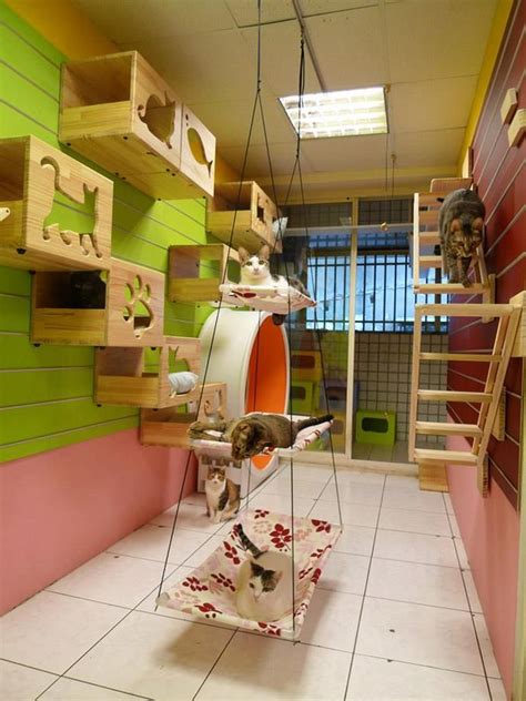 Catswall A Modular Cat Climbing Wall Perfect For You Pet Cat Room