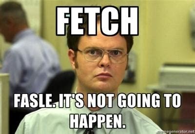 Image 768911 Stop Trying To Make Fetch Happen Know Your Meme