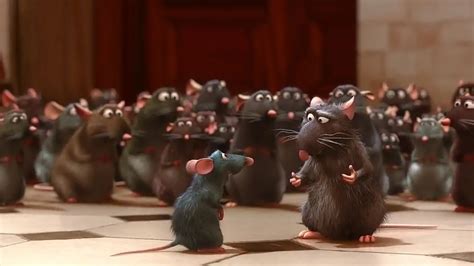 A Review Of Ratatouille A Film About Cooking And Above All Acc