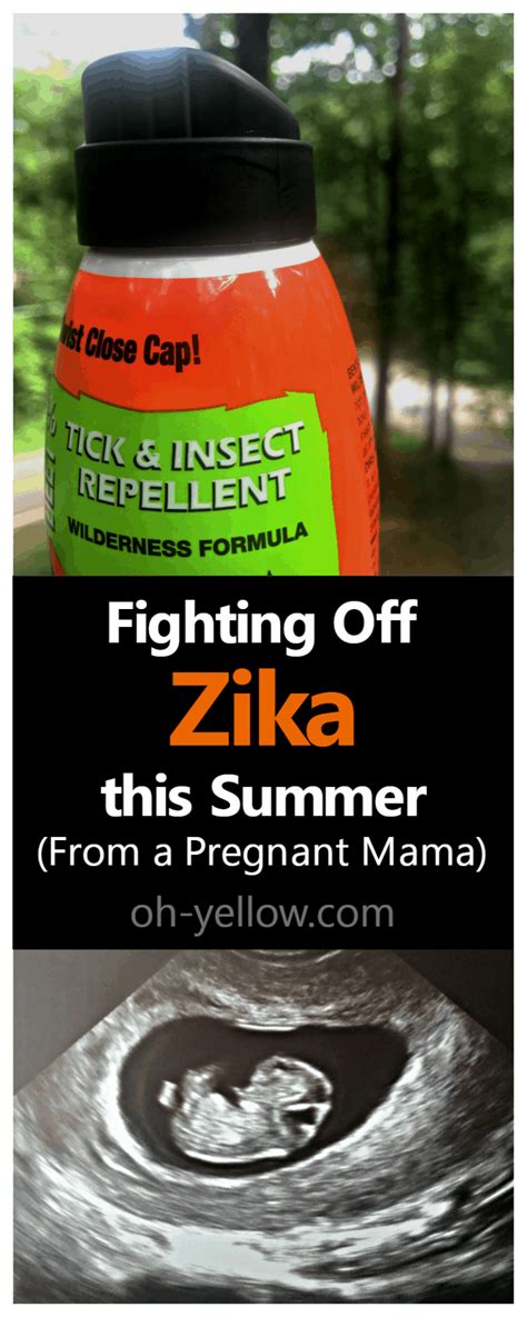 How To Protect Against The Zika Virus During Pregnancy Oh Yellow