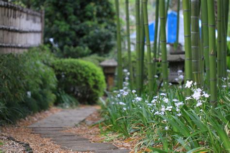 赤塚植物園にて by たろす （ID：5497593） - 写真共有サイト:PHOTOHITO