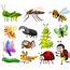 Different Kinds Of Insects On White Background 369289 Vector Art At 