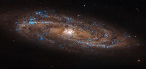 A Sparkling Stretched Spiral And Stunning Out Of This World Galaxies