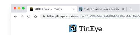 Tineye Reverse Image Search Ranchvsera