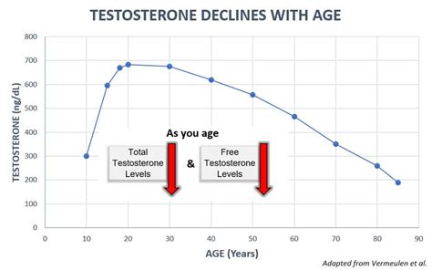 Average Testosterone Levels In Males By Age Chart Best Picture Of