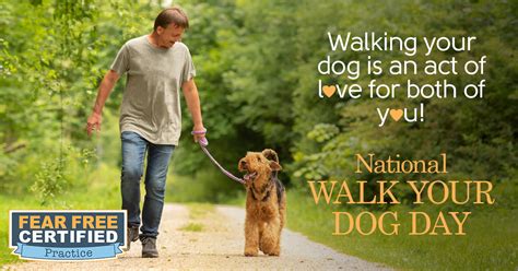 National Walk Your Dog Day Fear Free Pets