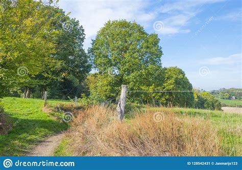 Rural Landscape In Autumn Colors In Sunlight At Fall Stock Image