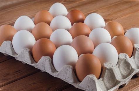 Yuk Kenali 7 Jenis Telur Ayam Yang Ada Dan Manfaatnya Okezone Lifestyle