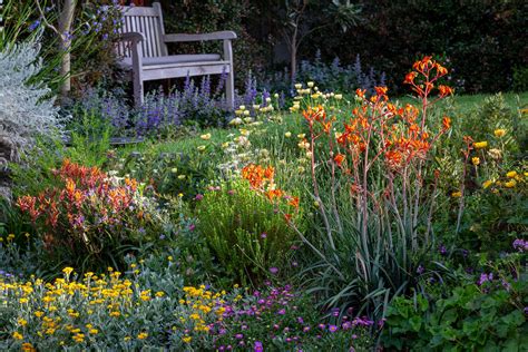 Top Small Native Plants For Cottage Gardens The Botanical Planet
