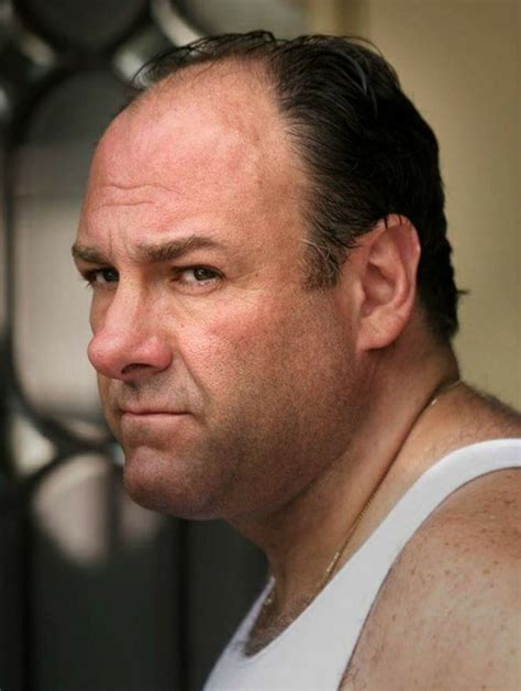 92 Best The Sopranos Images On Pinterest The Sopranos Tony Soprano
