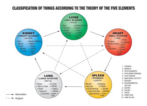 Understanding The Five Elements Tcm World