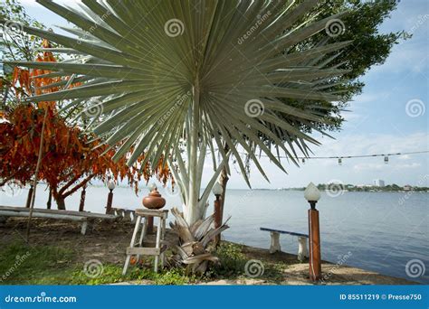 Thailand Phayao Lake Wat Tiloke Aram Island Stock Image Image Of
