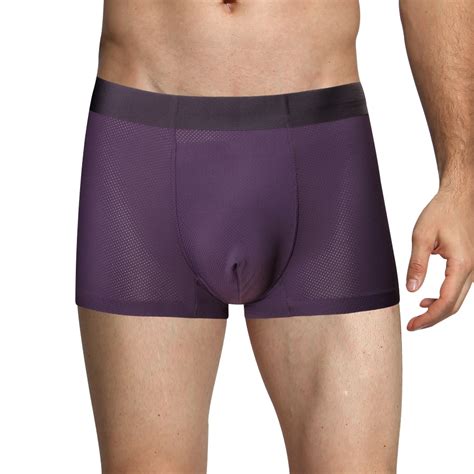 Sexy Purple Mesh Ice Silk Panties Silky Breathable U Convex Pouch