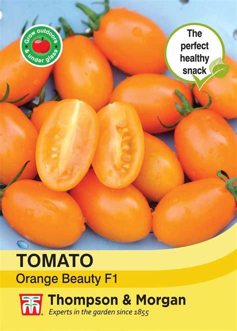 Tomato Orange Beauty F1 Hybrid Seeds Dobbies Garden Centres