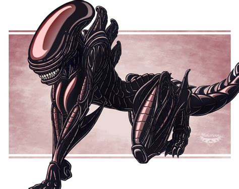Rule 34 Alien Franchise All Fours Breasts Claws Color
