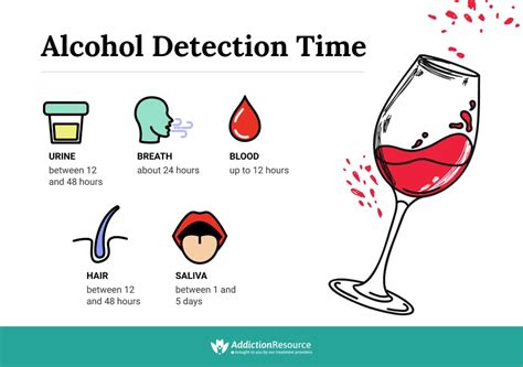 How Long Does Alcohol Stay In Your System How Is It Processed