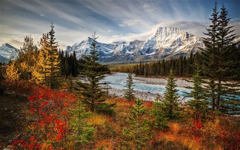 Download Wallpapers Jasper National Park Autumn Forest Mountains