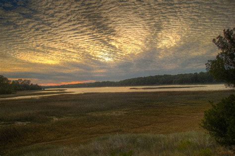 Skidaway Island State Park Is One Of The Very Best Things To Do In Savannah