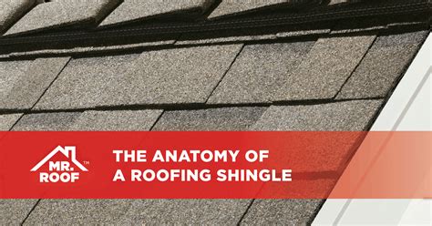 The Anatomy Of A Roofing Shingle Mr Roof