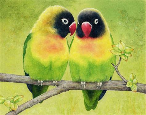 Draw These Animals Using Pastel Pencils Pastel Pencils Animals