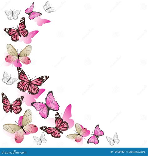 Frame Of Pink Butterflies In Flight Isolated On White Background