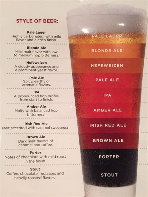 Infographics To Get You Through Everyday Life Beer Guides Beer