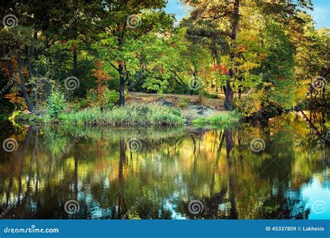 Sunny Day In Outdoor Park With Autumn Trees Reflection Stock Image