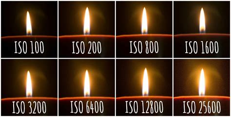 What is ISO? {Photography Basics} | Photography