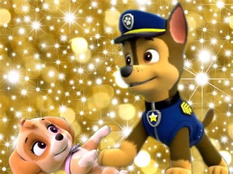 Chase And Skye Skye And Chase Paw Patrol Photo 40463629 Fanpop