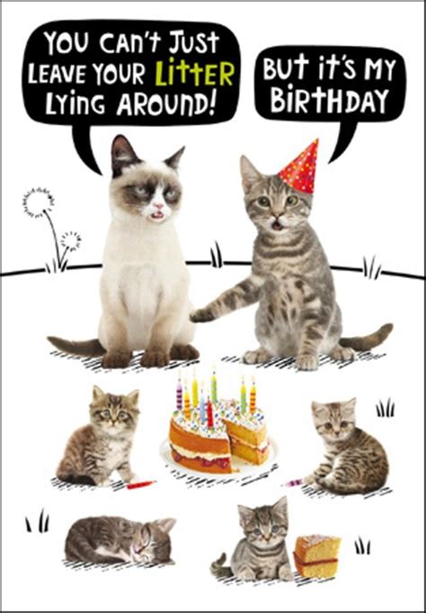 Cat Litter Birthday Funny Birthday Card Cards
