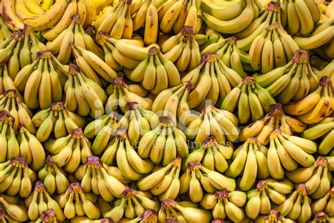 Bananas Stock Photo Royalty Free Freeimages