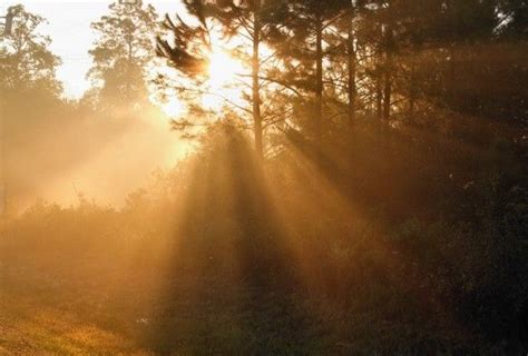 Morning Fog Sun Rays 2 Free Stock Photo Landscape Good Morning