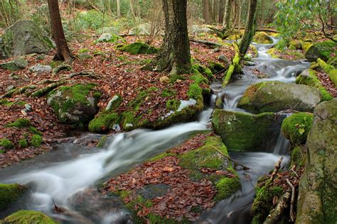 Free Images Landscape Nature Forest Rock Waterfall Creek Hiking