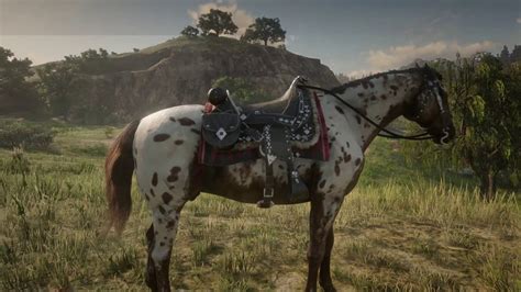 Red Dead Online Appaloosa Brown Leopard Youtube