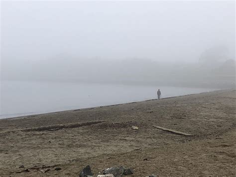 Why The Fog In The Bay Area Right Now Is Different From What We See In