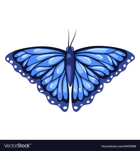 Blue Monarch Butterfly Isolated On White Vector Image