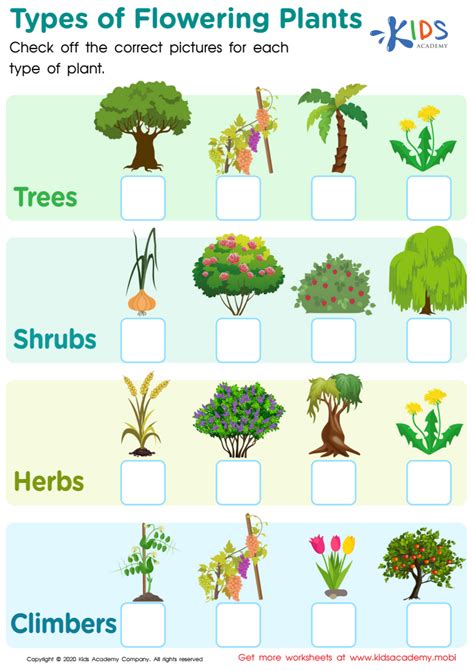 Free Types Of Flowering Plants Worksheet Worksheet For Kids