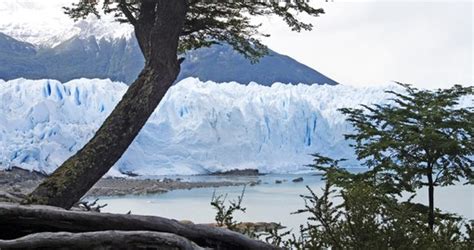 El Calafate Argentina Argentina Tours And Vacations 2020