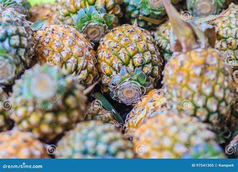 Fresh Organic Phulae Pineapple For Sale At The Fruit Market The Stock